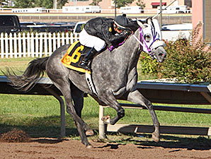 Ghost Realms wins the 2014 New Mexico State Fair Thoroughbred Breeders Stakes.