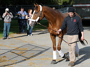 Giant Finish arrives at Churchill Downs May 2, 2013