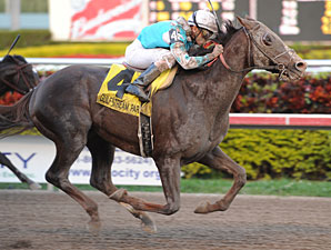 Giant Oak wins the 2011 Donn Handicap.