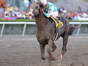 Giant Oak wins the 2011 Donn Handicap.