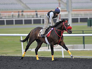 Giant Ryan - Dubai 2012