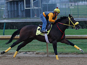 Giant Ryan works at Churchill Downs on October 19, 2011.