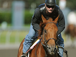 Giant's Tomb at Woodbine on June 30, 2010.