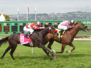 Gig Harbor wins the 2011 Alcatraz.