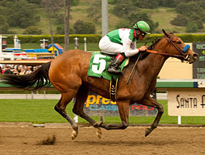 Gilded Gem wins the 2011 Las Flores.