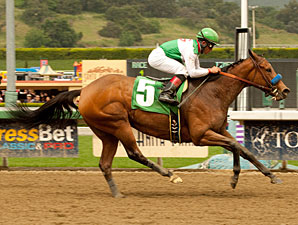 Gilded Gem wins the 2011 Las Flores.