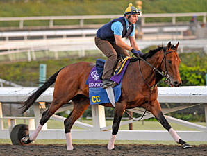 Gio Ponti 2009 Breeders' Cup