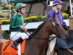 Gio Ponti to Race in 2010