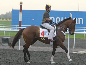 Gio Ponti Dubai 2011