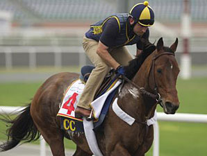 Gio Ponti Dubai 2011