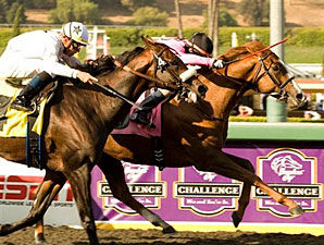 Gitano Hernando wins the 2009 Goodwood.