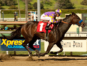 Gladding in the 2011 San Anotonio Stakes.