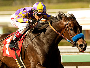 Gladding wins the 2011 San Anotonio Stakes.