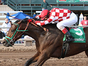 Glenco Kid wins the 2012 Lost in the Fog Juvenile Stakes.
