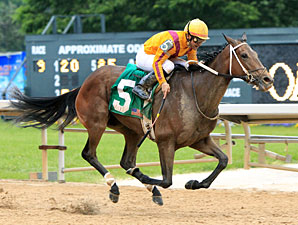 Glinda the Good wins the 2012 Instant Racing Stakes.