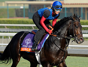 Global Power - Breeders' Cup 2012