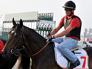 Gloria de Campeao Dubai World Cup Week 2010.