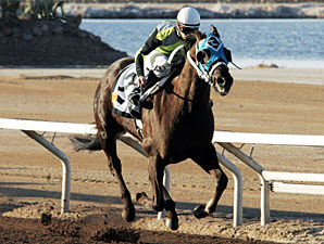 Glory Be Mine wins the 2010 La Senora Stakes.