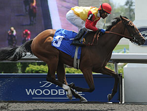 Glory Game wins the 2010 Colin Stakes.