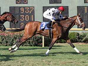 Go Tiger Jack wins the 2011 Barksdale Stakes.