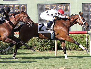 Go Tiger Jack wins the 2012 Barksdale Stakes.