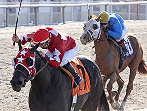 Gold Appointment wins the Crescent City Derby.