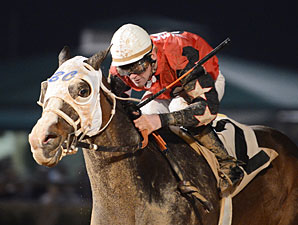 Gold Element wins the 2013 Spirit of Texas Stakes.