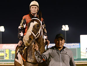 Gold Element wins the 2013 Spirit of Texas Stakes.