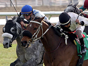 Gold Wonder wins the 2009 Lacombe.