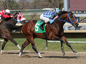 Golddigger's Boy wins the 2011 Lyman Handicap.