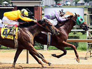 Golden Country wins the 2012 West Virginia Legislature.