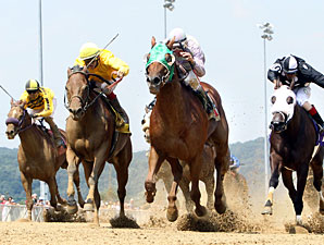 Golden Country wins the 2012 West Virginia Legislature.