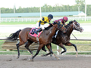 Golden Lad wins an AOC at Gulfstream Park on February 5, 2014.