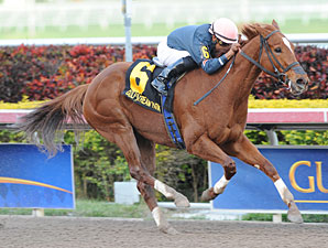 Golden Mystery wins the Hurricane Bertie.