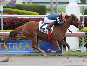 Golden Mystery wins the 2013 Florida Sunshine Millions Filly and Mare Sprint.