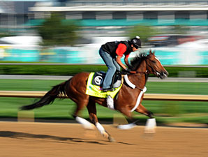 Goldencents - Churchill Downs, May 1, 2013.