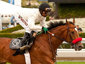 Goldencents work January 26, 2013.