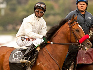 Goldencents work January 26, 2013.