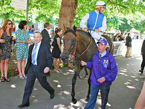 Goldikova after running in the Prix Jacques Le Marois
