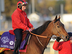 Goldikova BC 2010