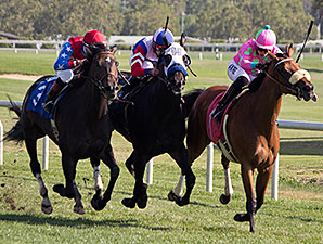 Good Karma wins the 2013 Luther Burbank Handicap.