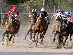 Goods Gone West wins the 2013 Rainbow Stakes.