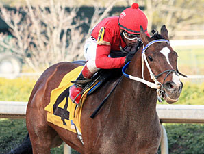 Goods Gone West wins the 2013 Rainbow Stakes.