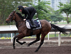 Gordon Lord Byron - Hong Kong December 2012