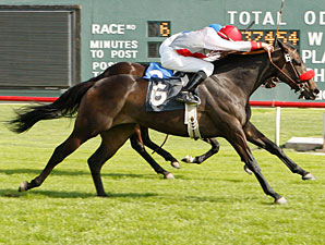 Got an Itch wins the 2010 Arizona Stallion Stakes.
