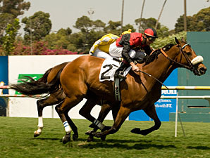 Gotta Have Her wins the 2010 Royal Heroine.