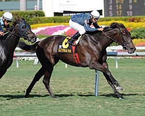 Fourteen Invited to July 5 American Oaks Fourteen Invited to July 5 American Oaks