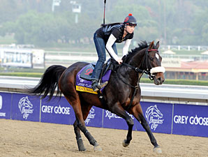 Grace Hall - Breeders' Cup 2012