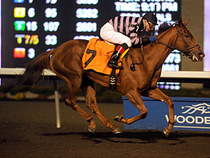 Grace Phil wins the 2011 South Ocean Stakes.