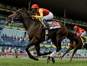 Grand Adventure wins the 2010 Connaught Cup.
